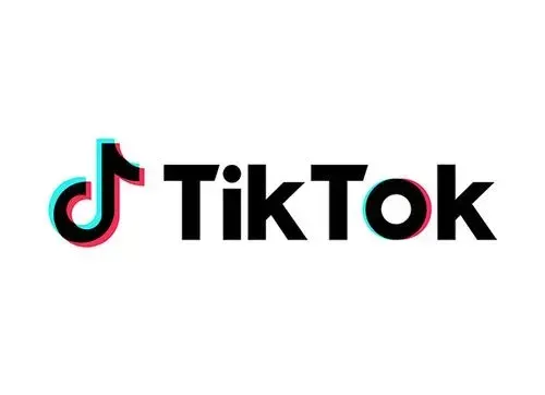 Tik Tok抖音国际版官网下载：如何在国内看Tik Tok？ 截图