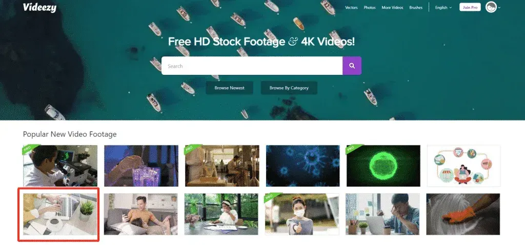 Videezy视频素材官网怎么进?视频怎么下载? 截图